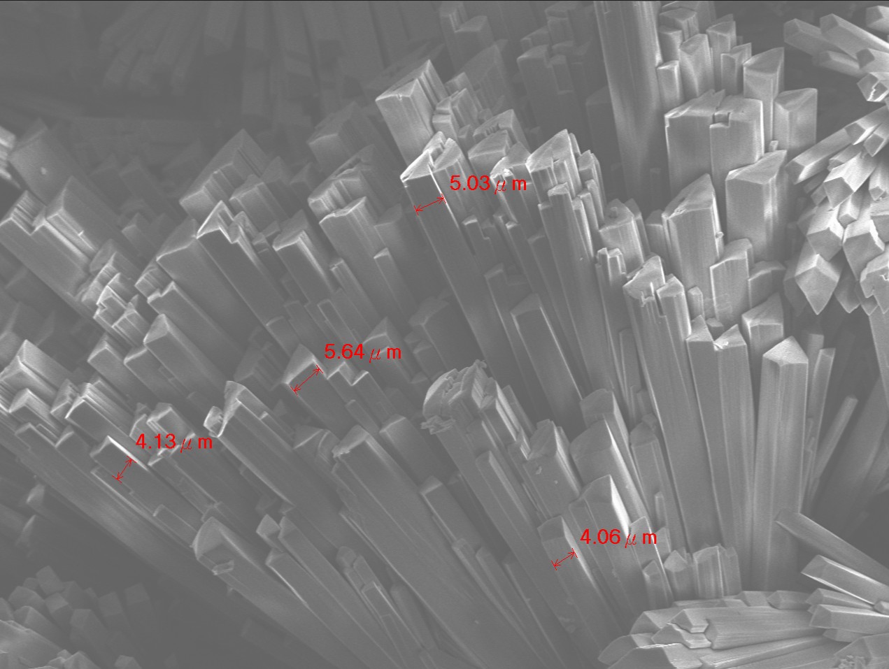 SEM image